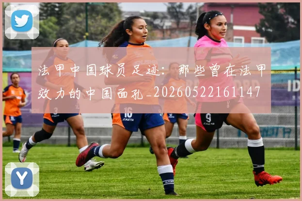 法甲中国球员足迹:那些曾在法甲效力的中国面孔_20260522161147