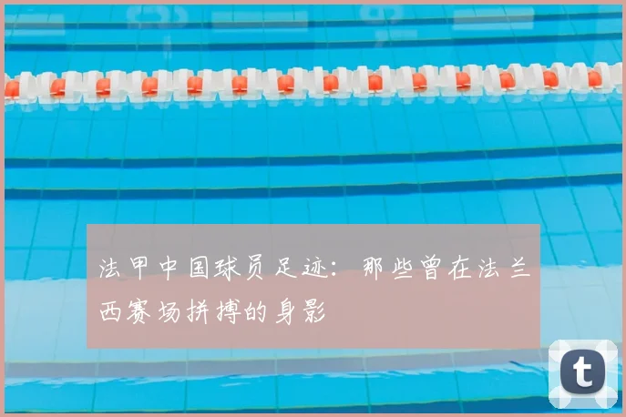 法甲中国球员足迹:那些曾在法兰西赛场拼搏的身影